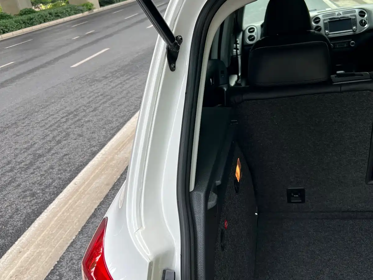 Volkswagen Tiguan 2010 1.8TSI Automatic 4WD Elite фото 27