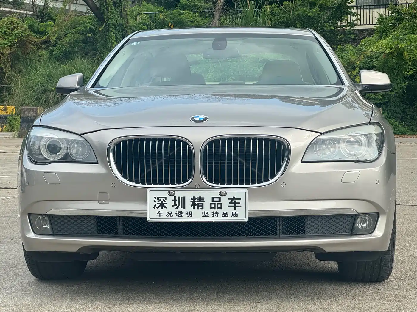 BMW 7 Series 2009 730Li Luxury фото 2
