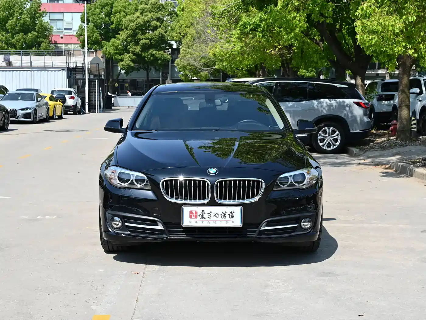 BMW 5 Series 2017 525Li Leading Edition фото 2