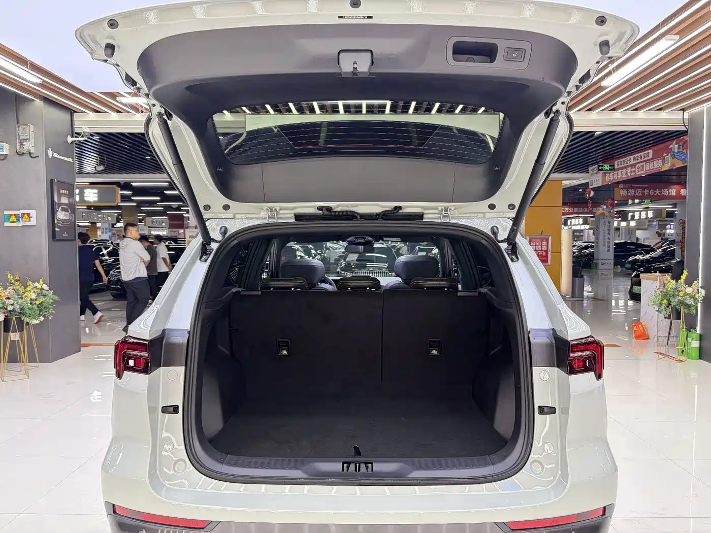 Ford Lingrui New Energy 2025 2025 Model Premium Edition PLUS