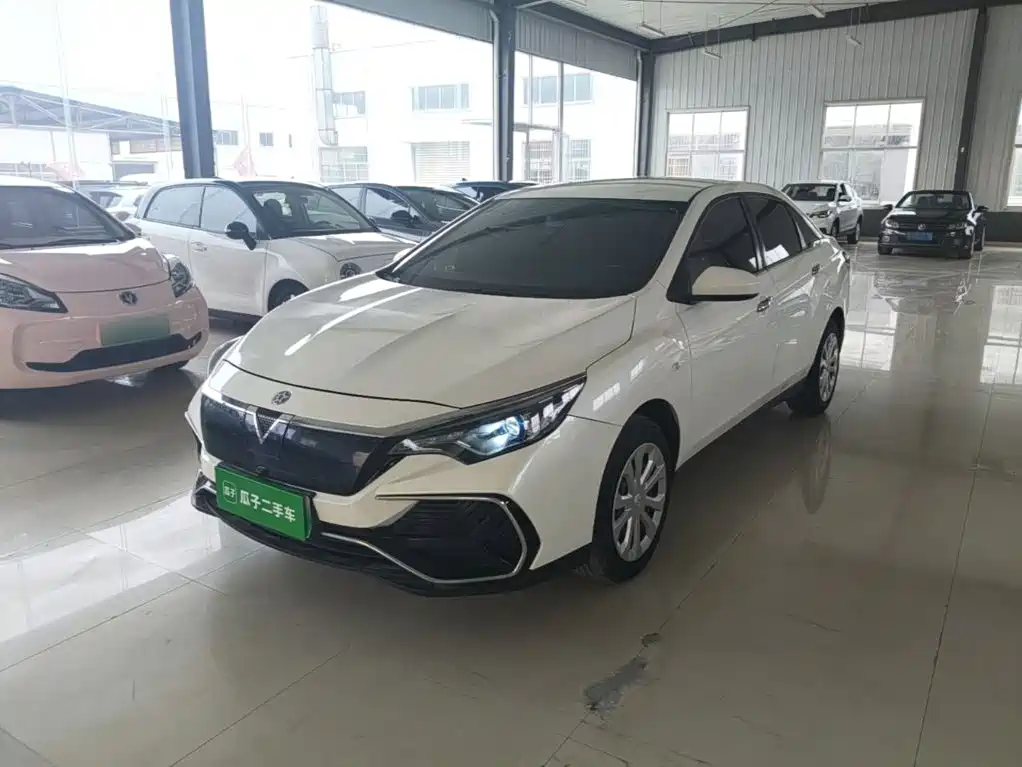 Venucia D60EV 2022 2020 Standard Range Smart Edition