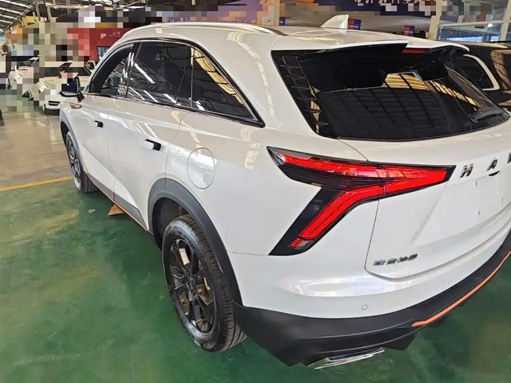 Haval Shenshou 2022 1.5T Smart Leader Edition фото 5
