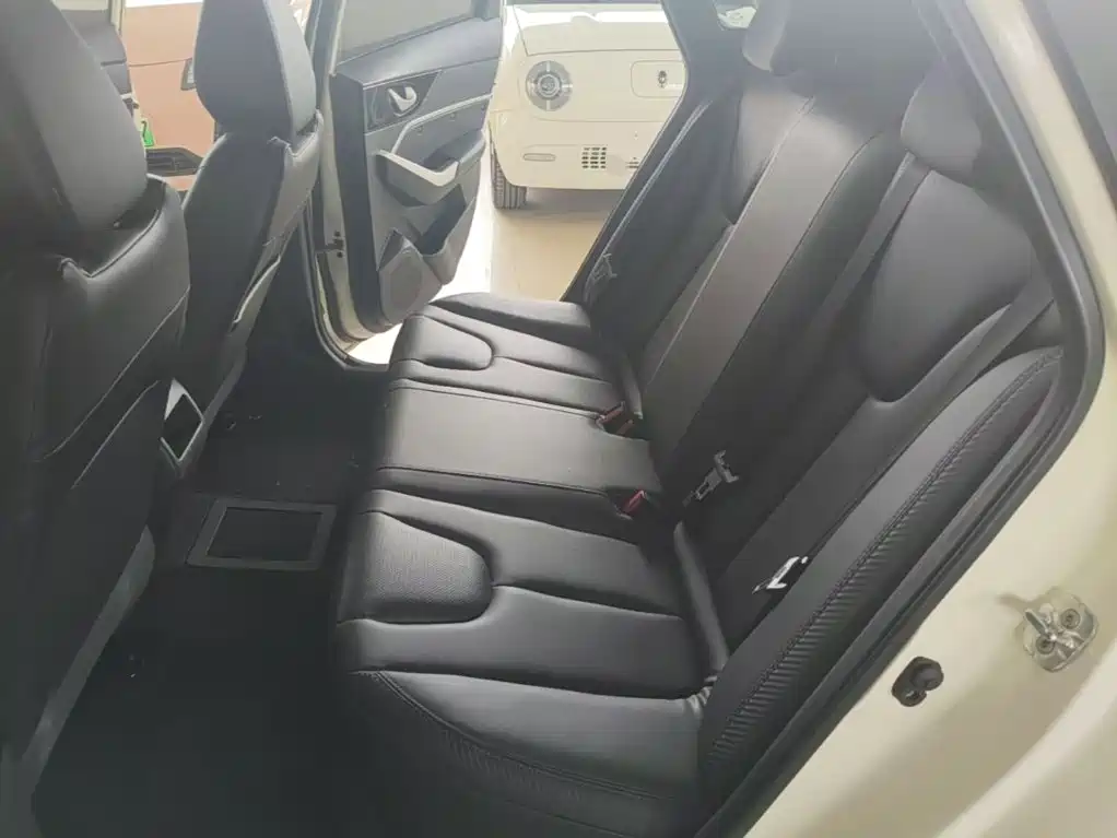 Venucia D60EV 2022 2020 Standard Range Smart Edition