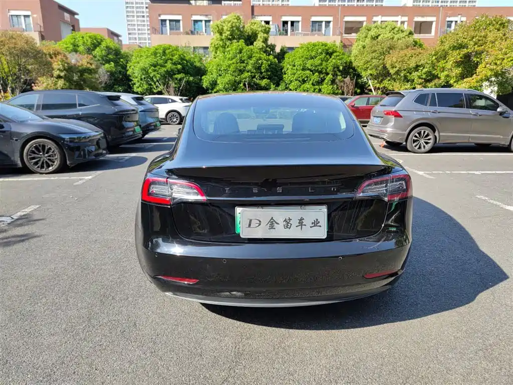 Tesla Model 3 2020 2020 Facelift Standard Range RWD Upgrade
