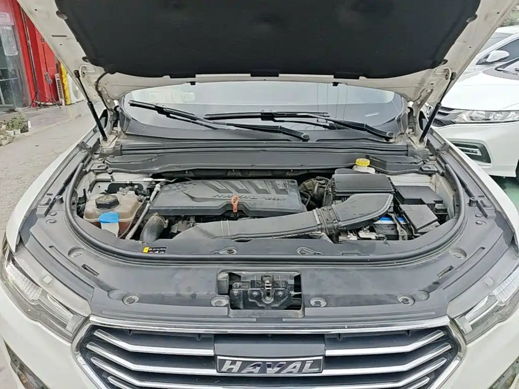 Haval H4 2019 2019 1.5GDIT DCT Luxury Smart Connection China VI