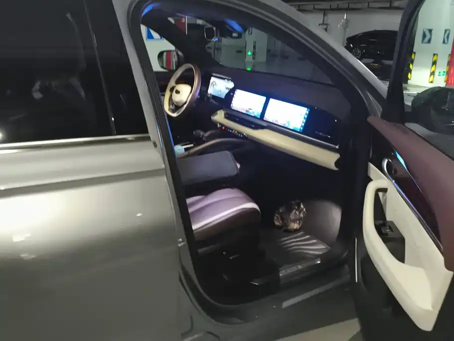 Geely Xingyue L 2021 2021 2.0TD High Power AWD Flagship