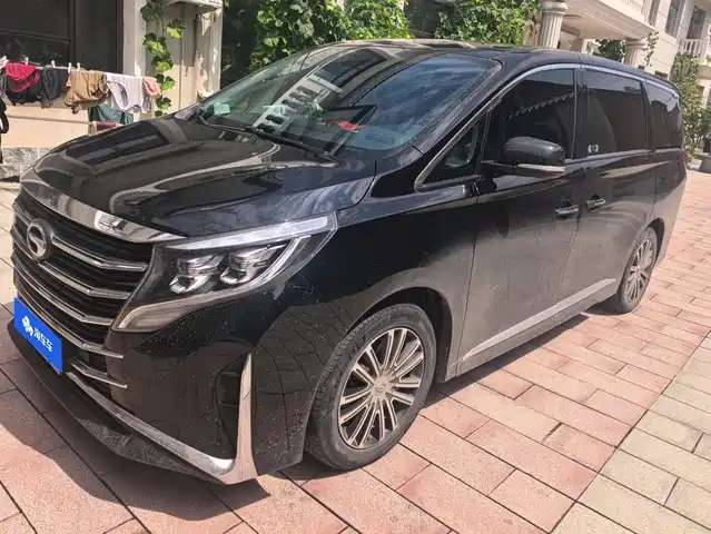 Trumpchi M8 Elegance Series, 390T, Премиум