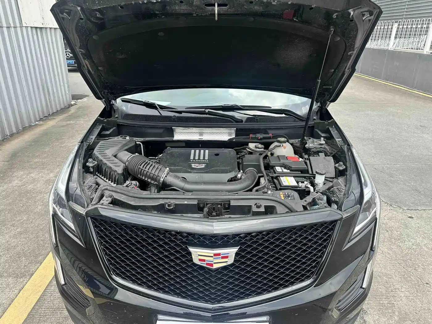 Cadillac XT5 2022 2.0T AWD Luxury (Hummingbird Edition) фото 8