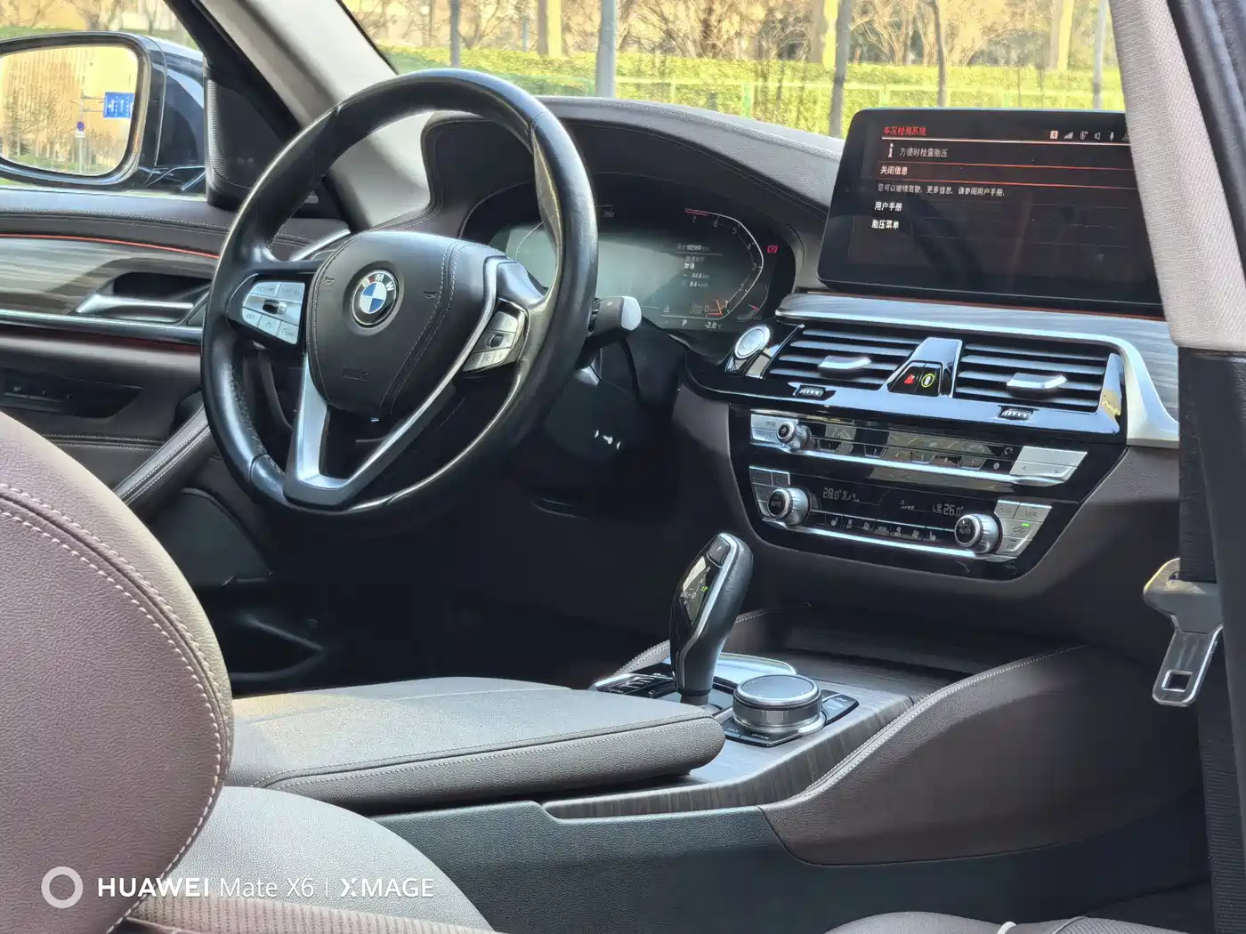 BMW 5 Series 2021 530Li Leading Luxury Package фото 19