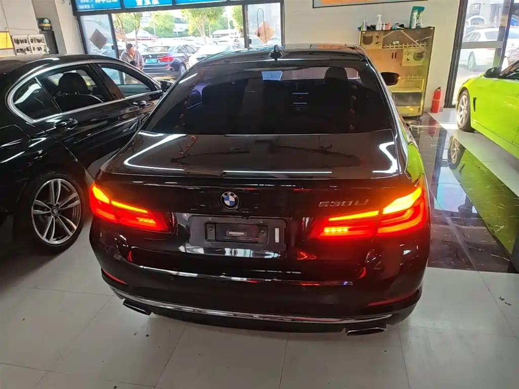 BMW 5 Series 2018 Facelift 530Li Exclusive Luxury Package фото 6