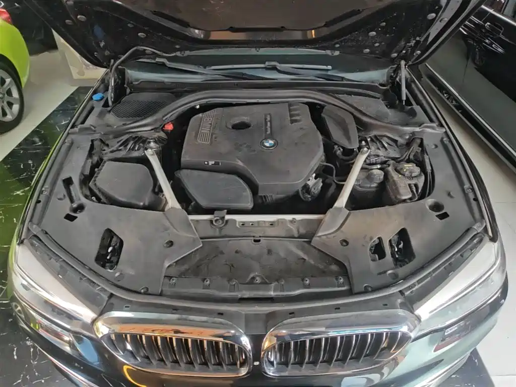 BMW 5 Series 2018 Facelift 530Li Exclusive Luxury Package фото 20