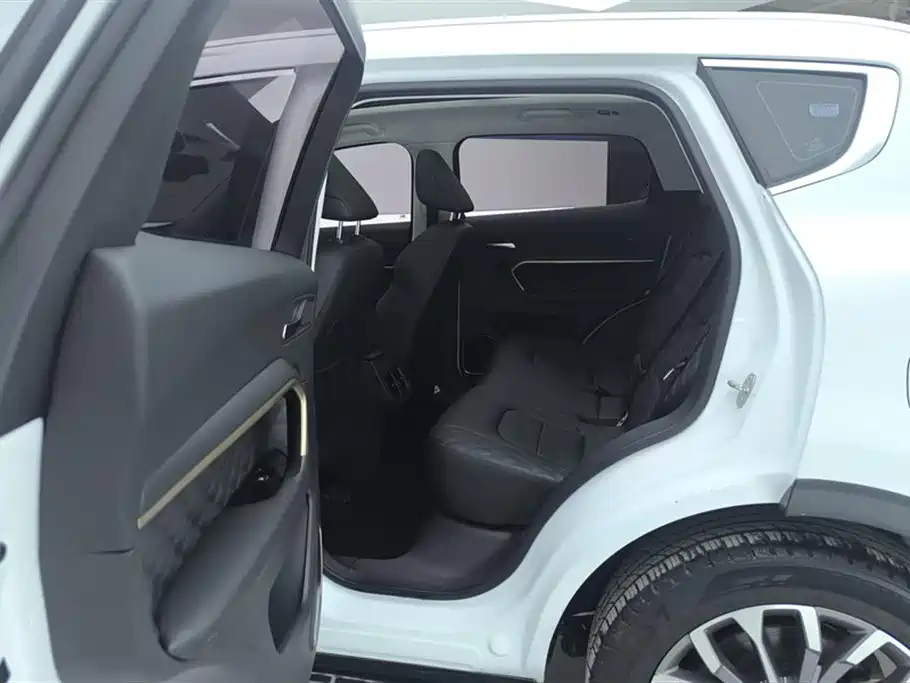 Haval H6 2020 1.5GDIT Automatic Platinum Luxury Edition фото 11