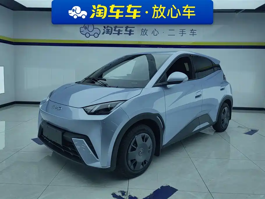 BYD Seagull 2024 Glory Edition 305km Vitality Edition