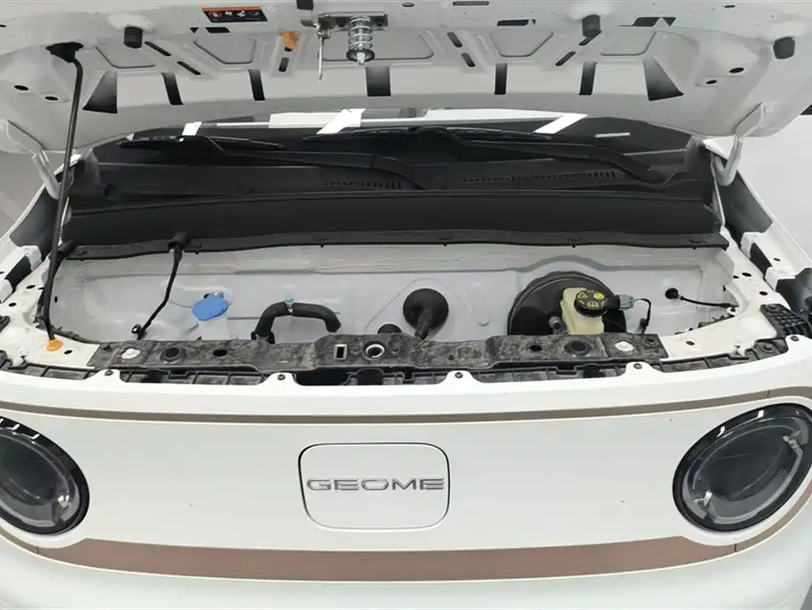 Geely Galaxy Panda 2024 Panda mini 200km Endurance Bear фото 10