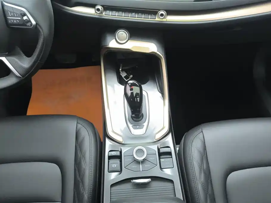 Haval H6 2020 1.5GDIT Automatic Platinum Luxury Edition фото 16