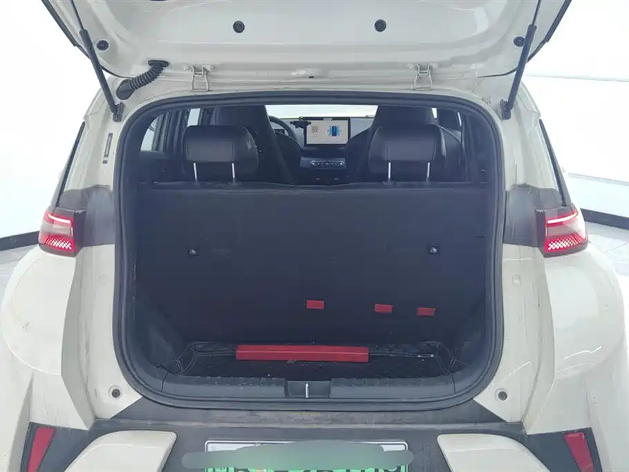 BYD Seagull 2025 Smart Drive Edition 305km Vitality Version фото 4