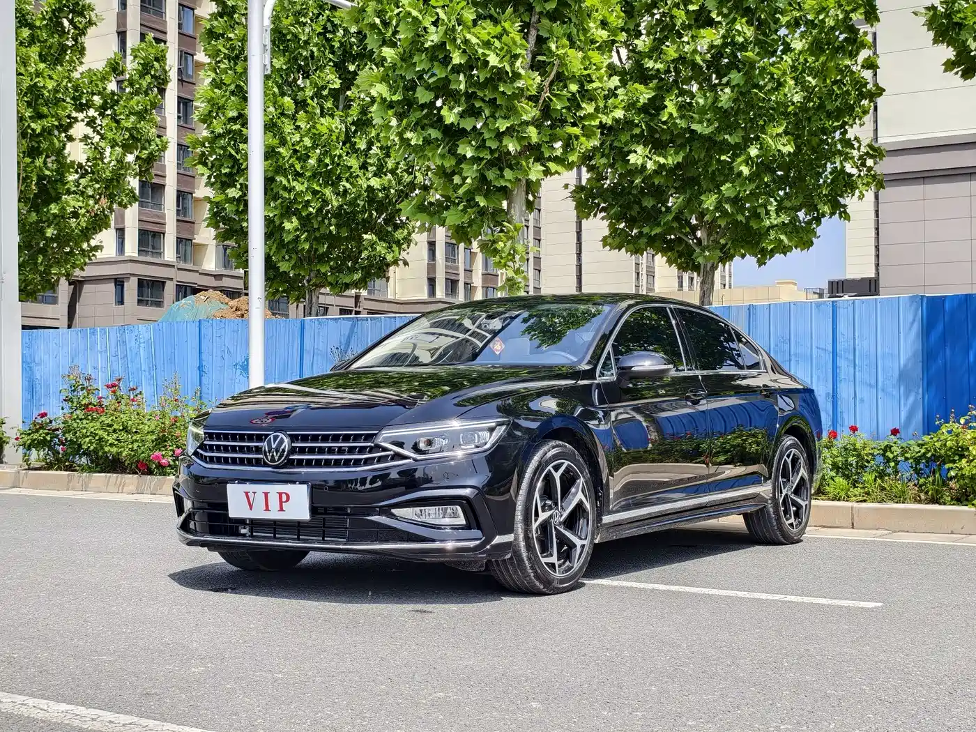Volkswagen Magotan 2025 Popular Edition 330TSI DSG Luxury