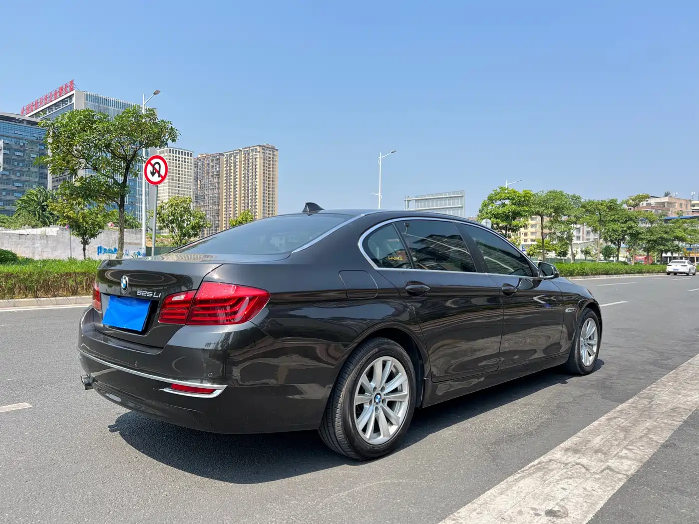 BMW 5 Series 2014 520Li Elegance фото 6