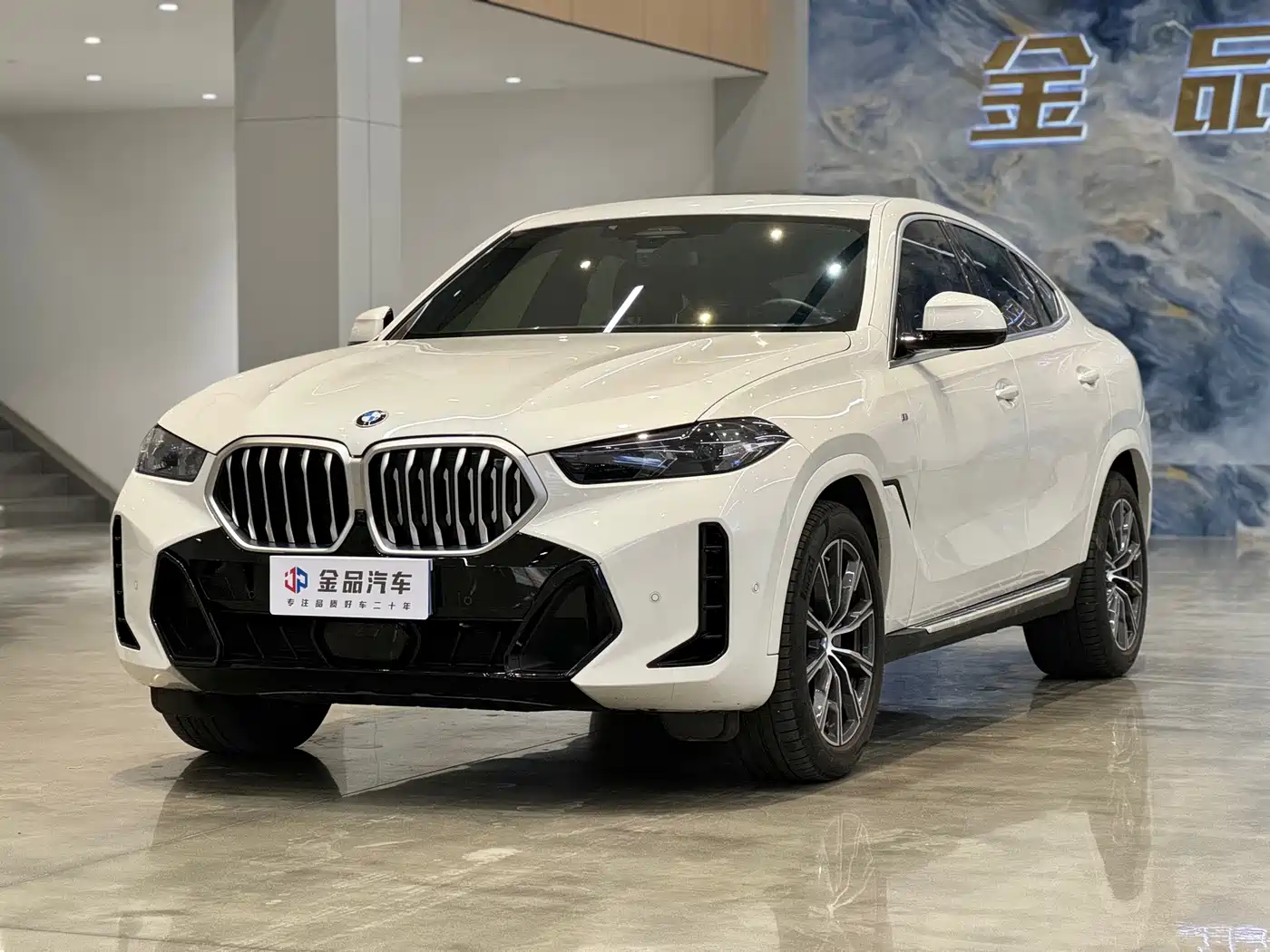 BMW X6 2023 2023 xDrive30i M Sport Package