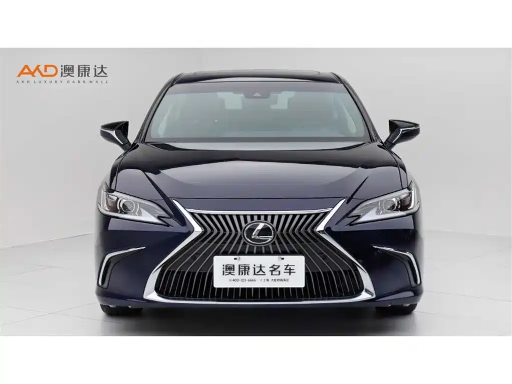 Lexus ES 2020 Model 260 Excellence Edition фото 2