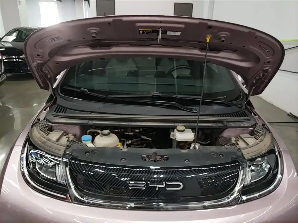 BYD Dolphin 2021 Model 405km Fashion Edition фото 16