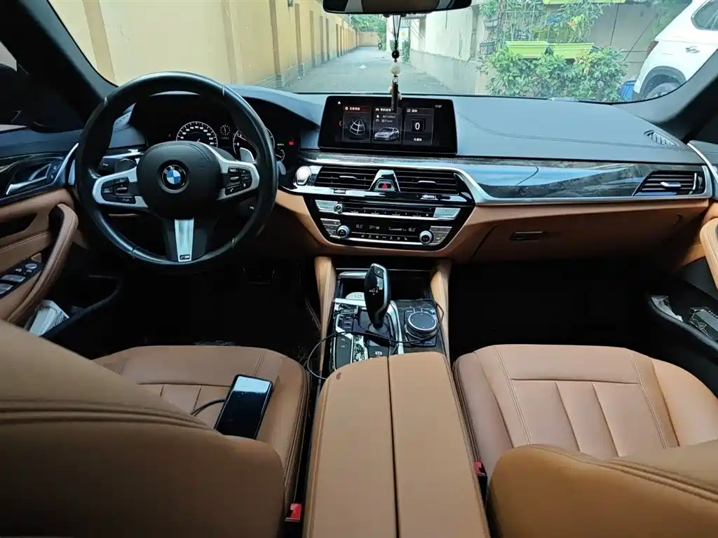 BMW 5 Series 2019 530Li Leading M Sport Package фото 13