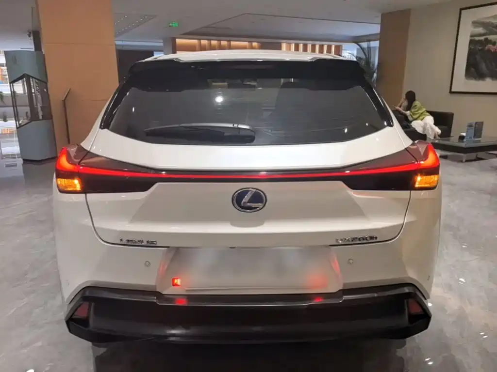 Lexus UX 2019 2019 260h Explore Fun Edition China VI