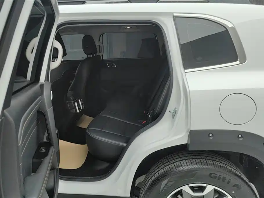 Haval Big Dog 2024 2.0T DCT Chinese Rural Dog Edition фото 11