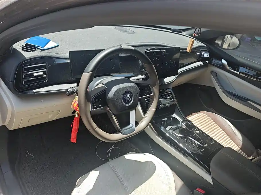BYD Qin PLUS 2023 Champion Edition DM-i 55KM Leading фото 12
