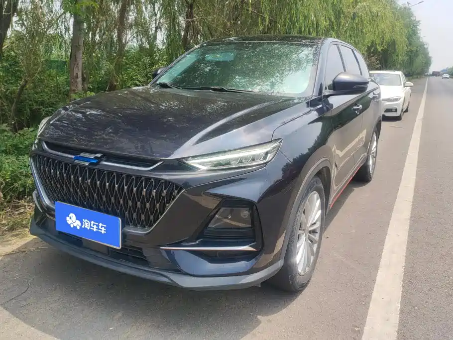 Changan Oshan X7 PLUS 2022 1.5T Blue Whale Edition Auto Premium