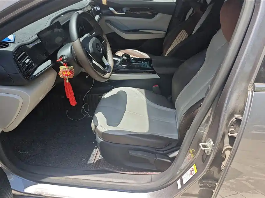 BYD Qin PLUS 2023 Champion Edition DM-i 55KM Leading фото 9