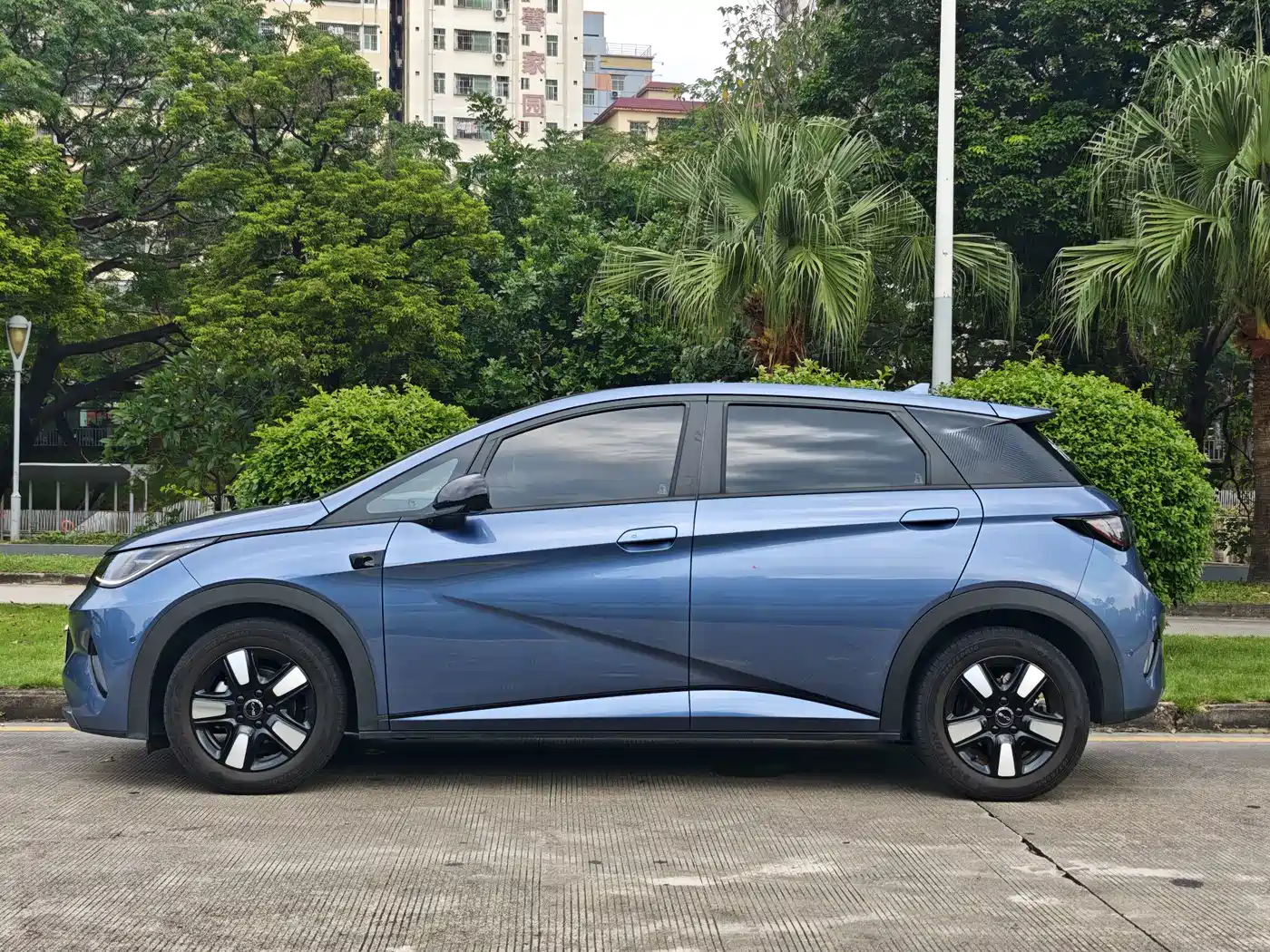 BYD Dolphin 2025 2025 Smart Drive Edition 410km Fashion Version