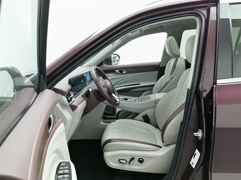 FORD LINGYU