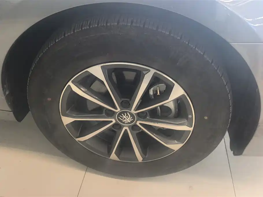 BYD Qin PLUS 2024 Glory Edition DM-i 55KM Leading фото 6