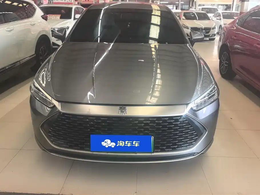 BYD Qin PLUS 2024 Glory Edition DM-i 55KM Leading фото 2