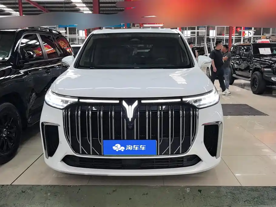 Voyah Auto Voyah Dreamer 2024 PHEV Extended Range Flagship Edition фото 2