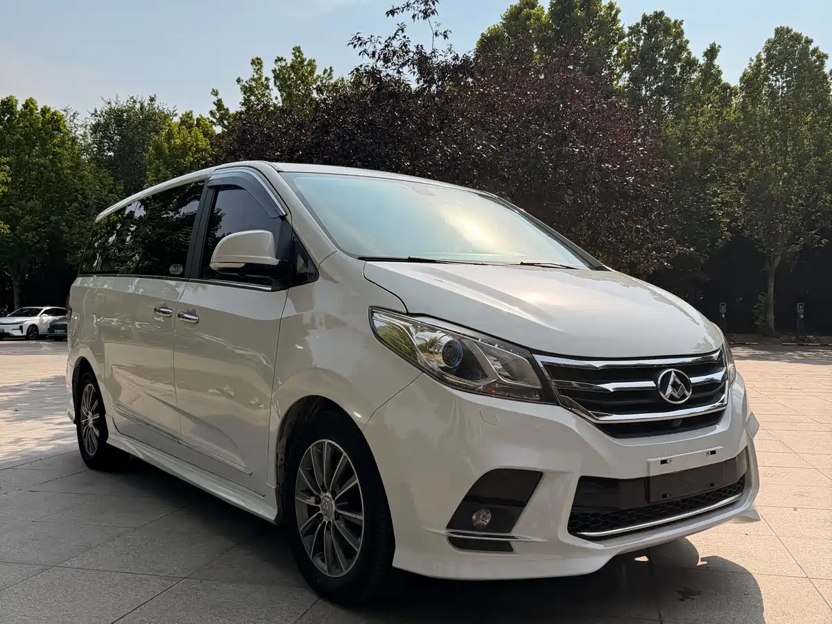 Photo 10 - SAIC Maxus Maxus G10