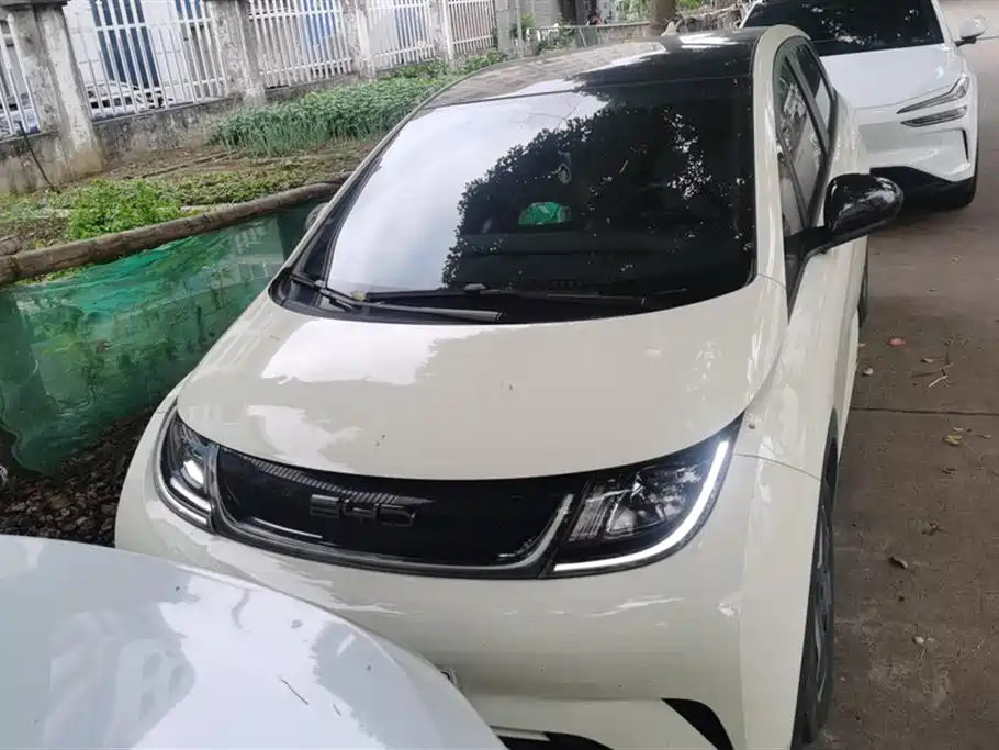 BYD Dolphin 2021 Model 405km Fashion Edition фото 2