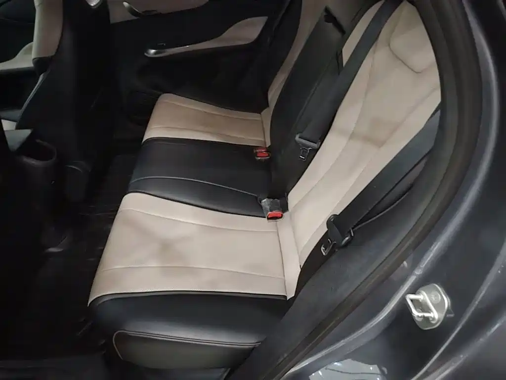 BYD Dolphin 2023 420km Fashion Edition фото 17