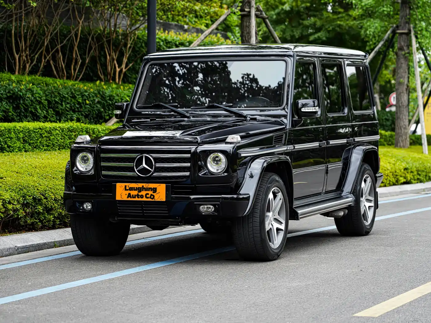 Mercedes-Benz G-Class AMG 2009 AMG G 55