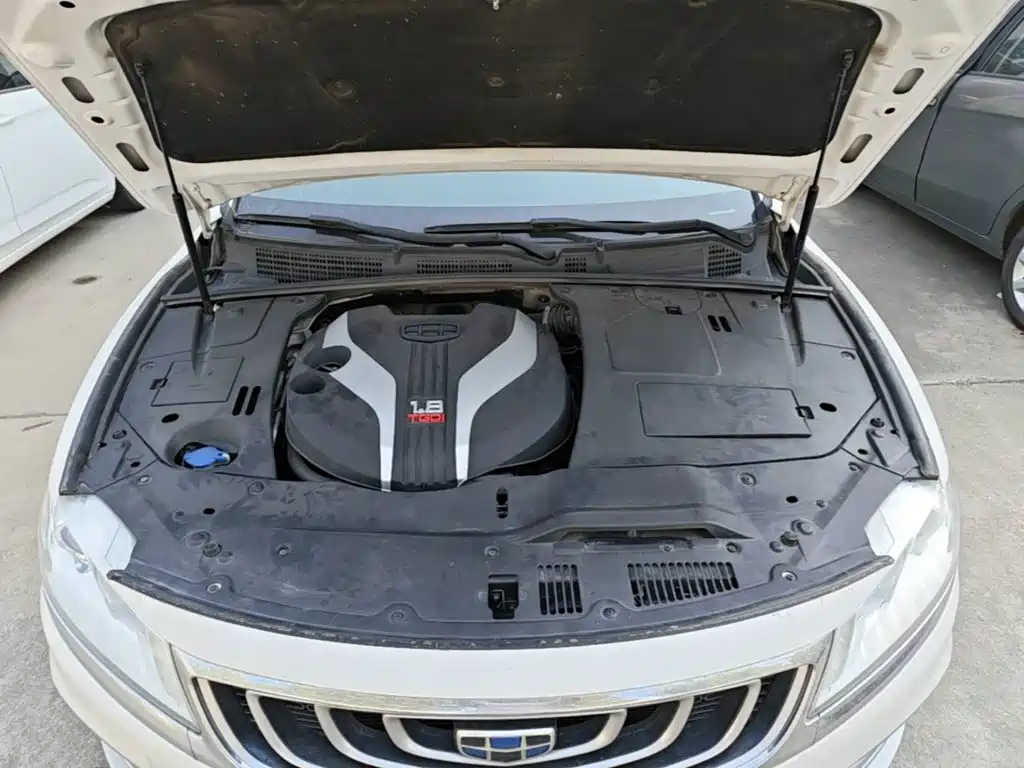 Фото 20 - Geely Borui