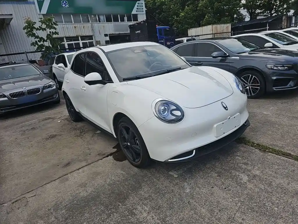 Ora Good Cat 2024 2024 401km Luxury