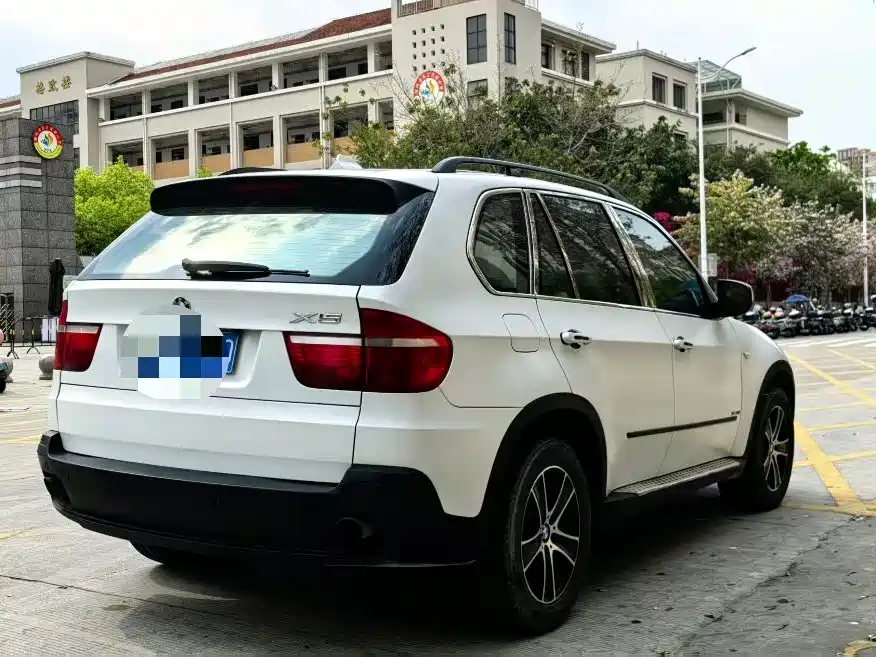 BMW X5 (Import) 2009 xDrive30i Luxury фото 8