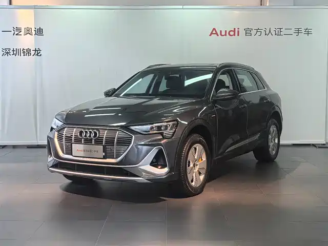  Audi Audi e-tron 2021 50 quattro Luxury