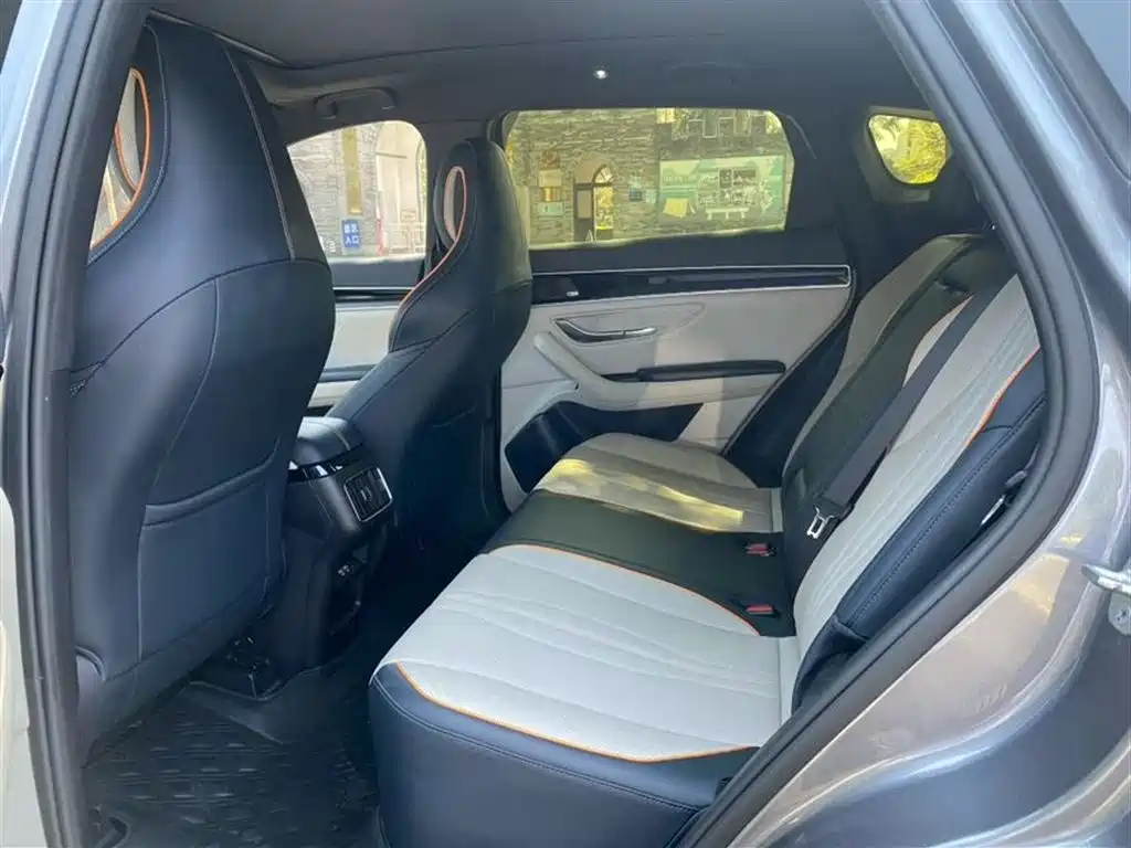 BYD Song PLUS PHEV 2021 DM-i 51KM Premium фото 4