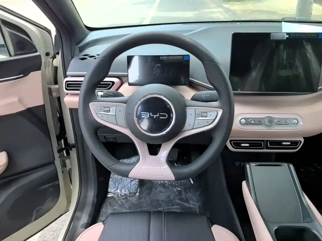 BYD Seagull 2026 2025 Smart Drive Edition 305km Vitality Version