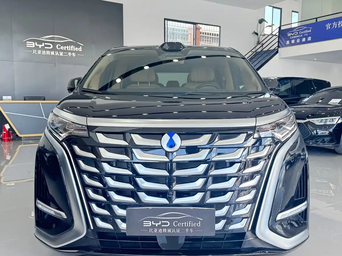 Denza D9 2025 DM-i Smart Drive Edition 1020 AWD Prestige фото 2