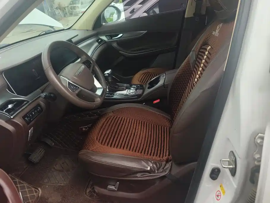 Leopaard Mattu 2020 2018 1.6T GDI DCT Luxury