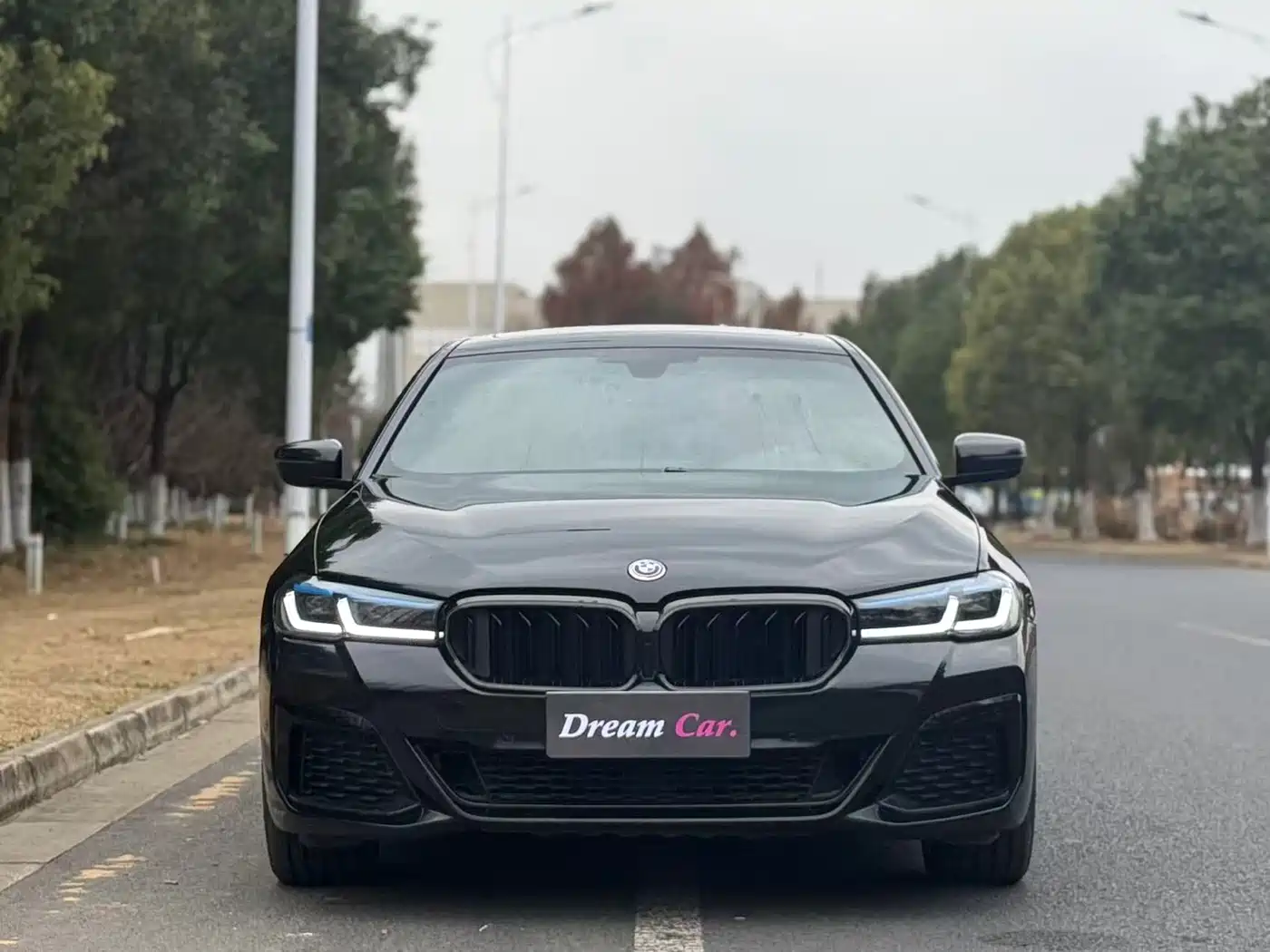 BMW 5 Series 2018 530Li xDrive M Sport Package фото 3