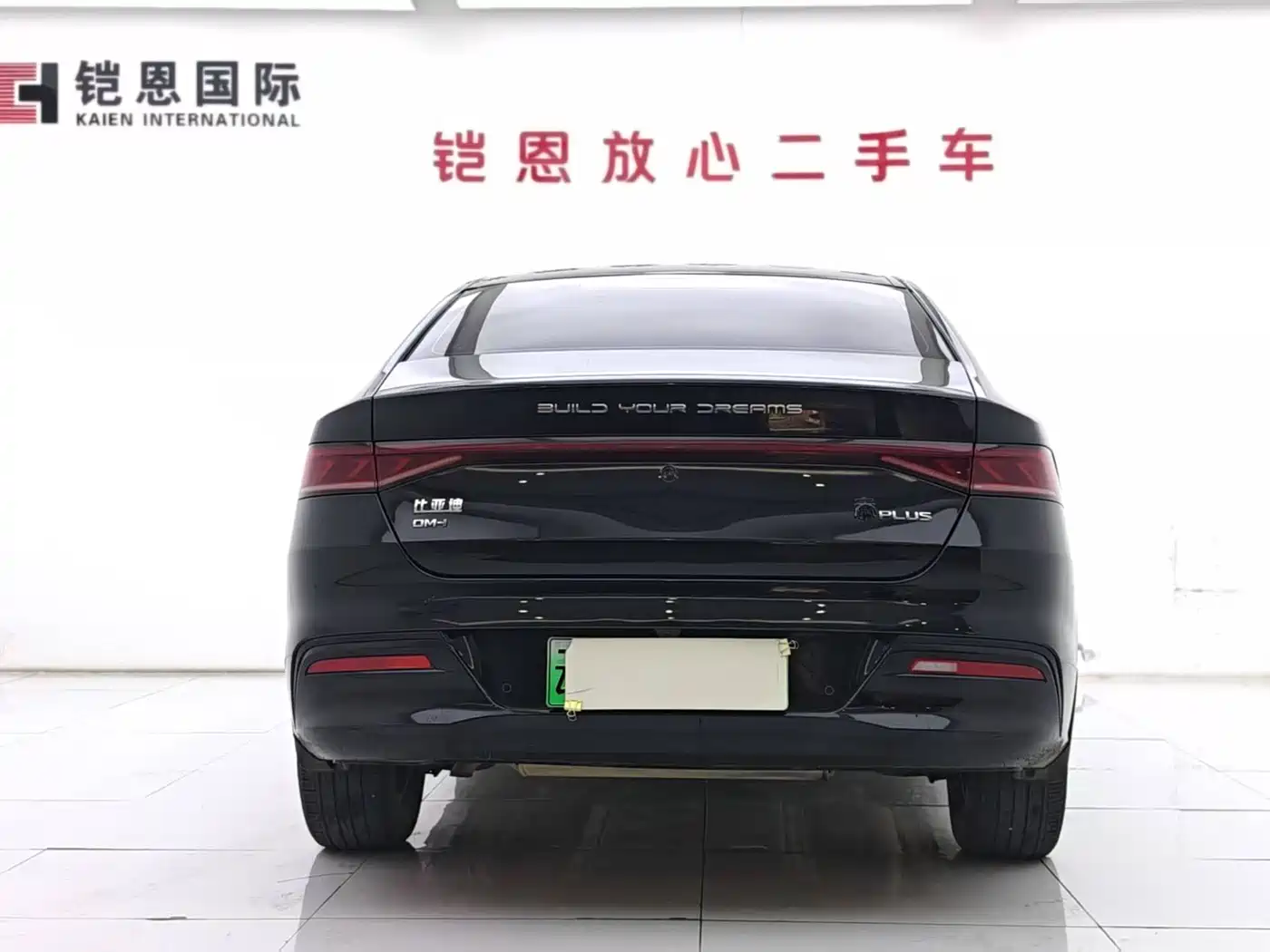 BYD Qin PLUS 2024 Glory Edition DM-i 55KM Leading фото 8
